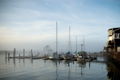 DSC_2246-1