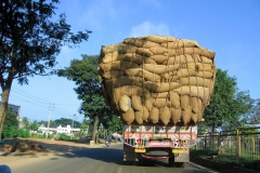 india5005